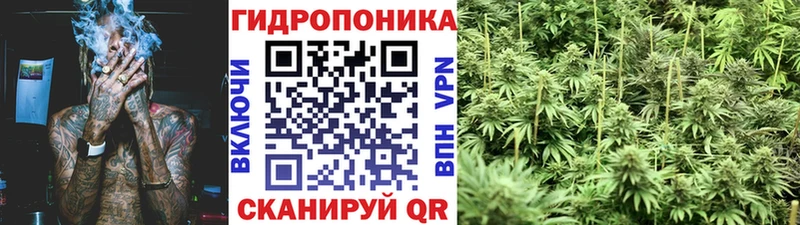 Виды наркоты Вихоревка A PVP  Меф  ОМГ ОМГ сайт  Гашиш 