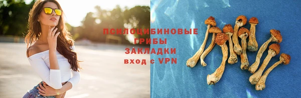 прущий лед Алзамай