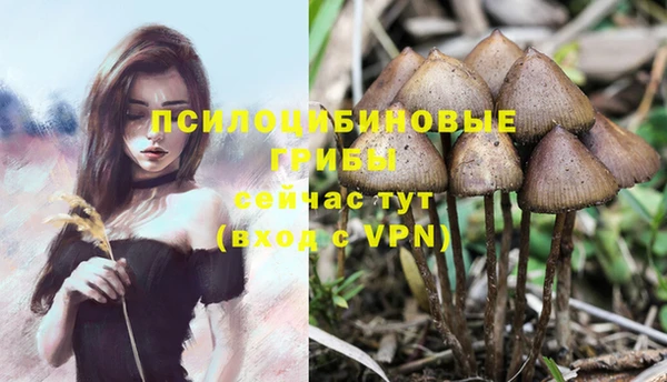 прущий лед Алзамай