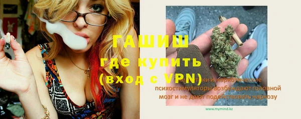 прущий лед Алзамай